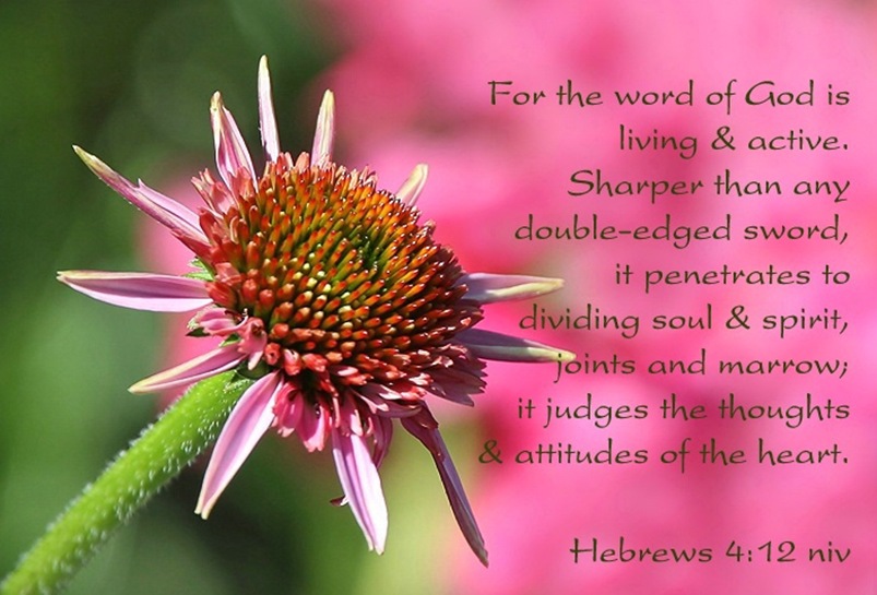 The Word of God is alive hebrews_4_12