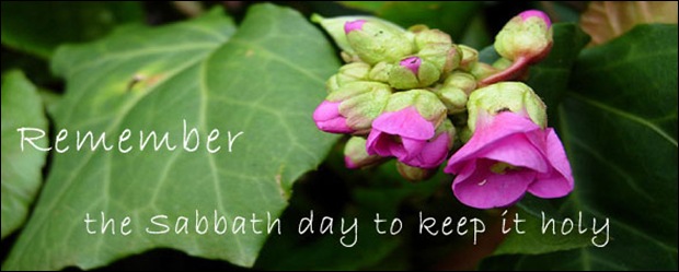 sabbath_day_banner