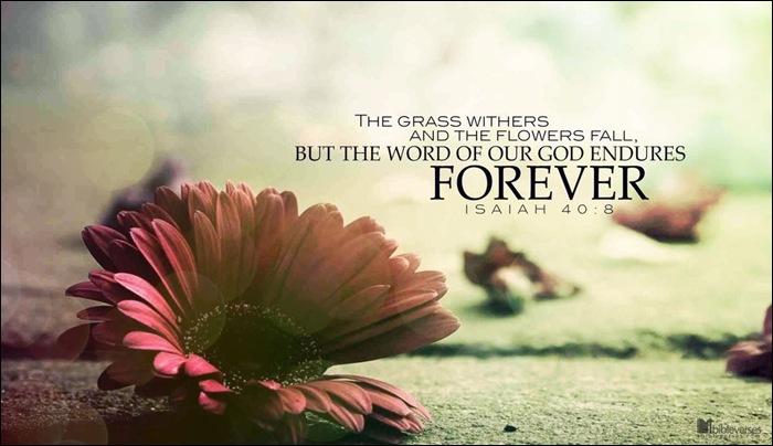 The Word of GOD is forever